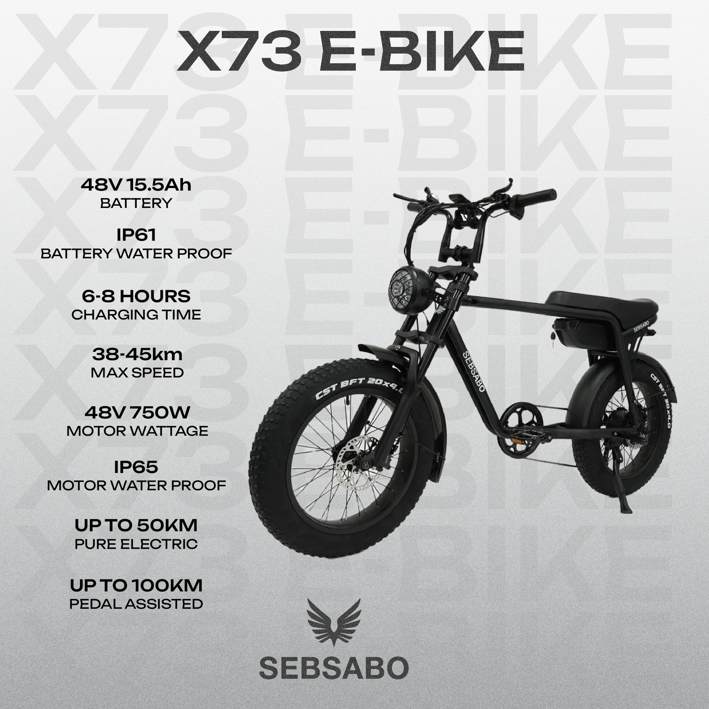 Ebike Fat Tyre X73 |  Black Frame Black Seat (750W - 48V) - SEBSABO